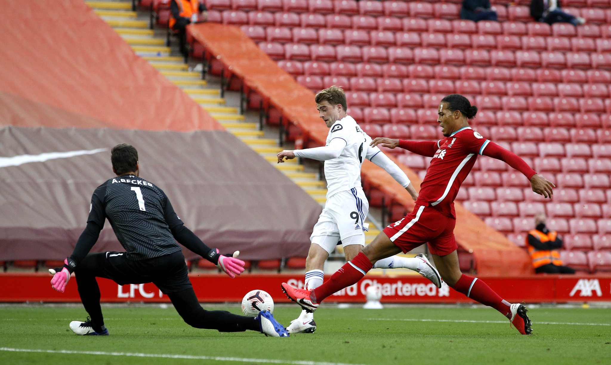 自己的基础 自己的基础